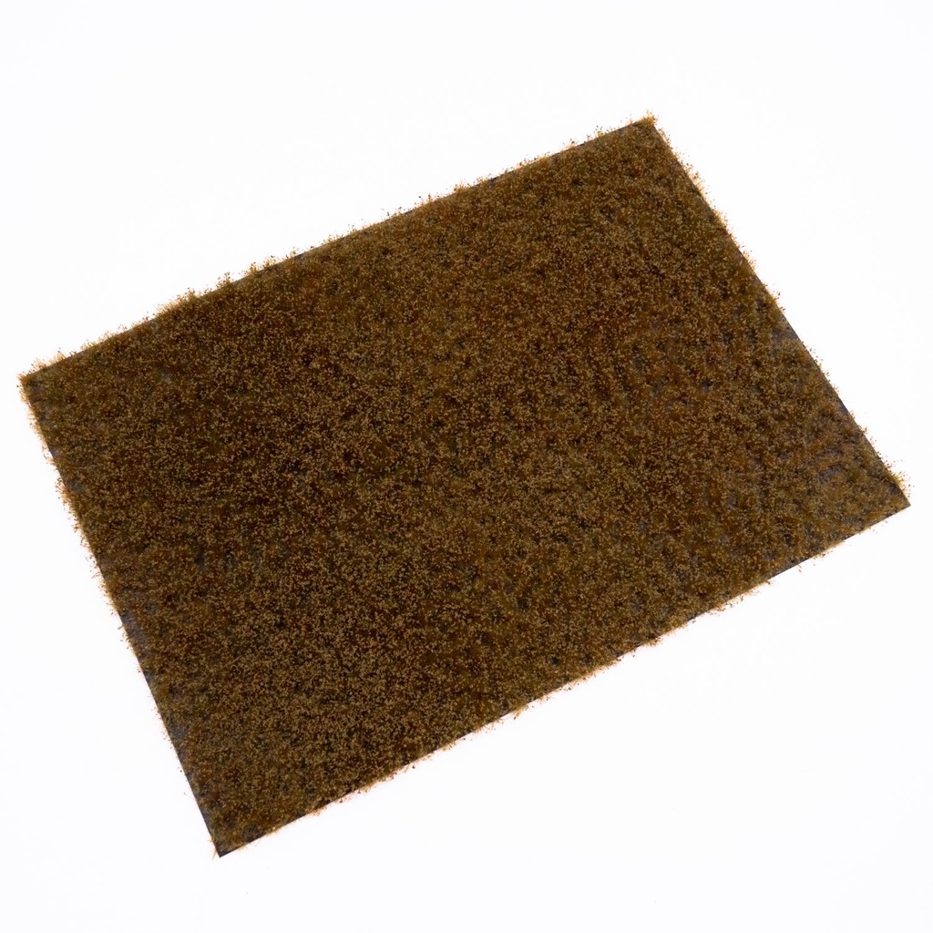 Unkrautbüschel Wintergras