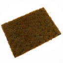 Unkrautbüschel Wintergras