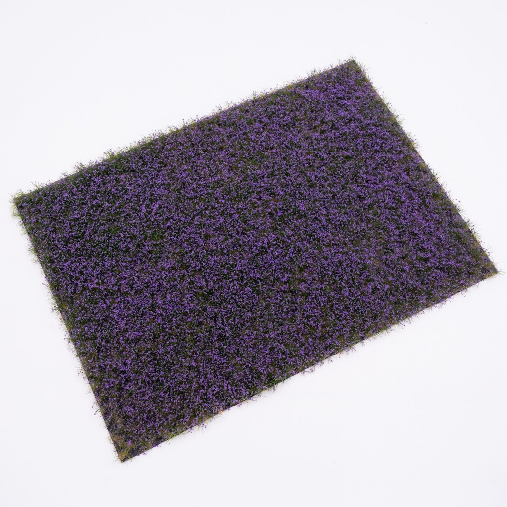 Blütenbüschel Lavendel