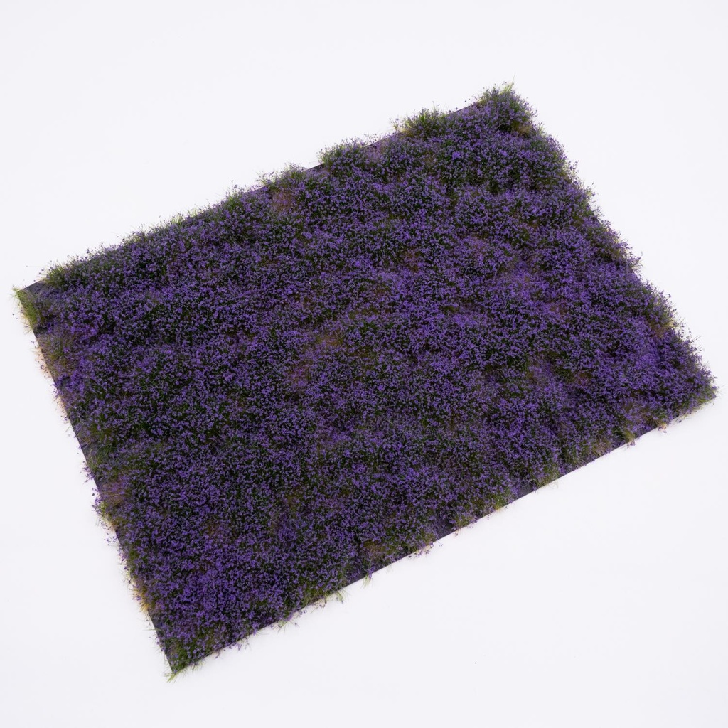 Blütenbüschel Lavendel