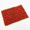 Blütenbüschel rot