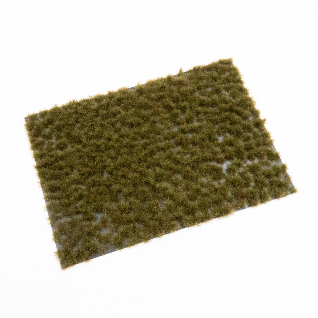 Blütenbüschel Heidekraut
