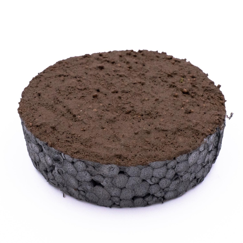 Muddy ground – brown earth