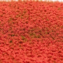Blütenbüschel rot