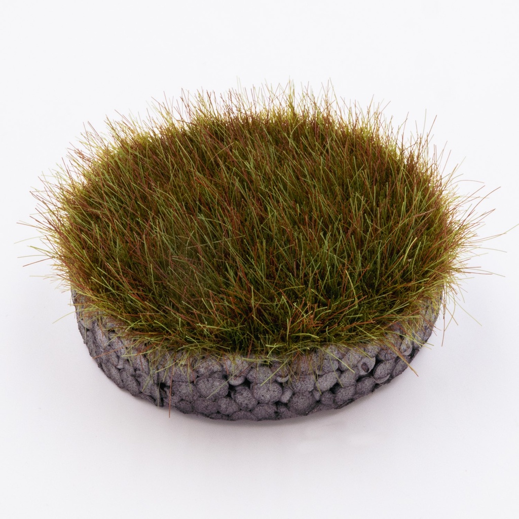 Gras-Flock – Wildgras Moor