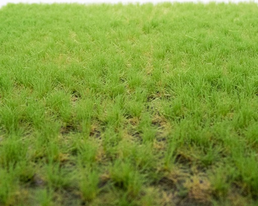 [82102] Grasbüschel Frühling
